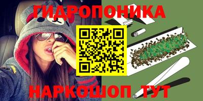 прущий лед Будённовск