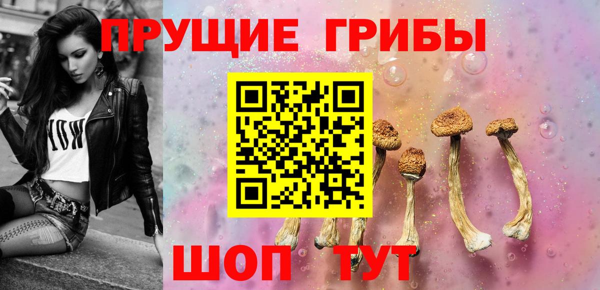Псилоцибиновые грибы Psilocybine cubensis Магнитогорск